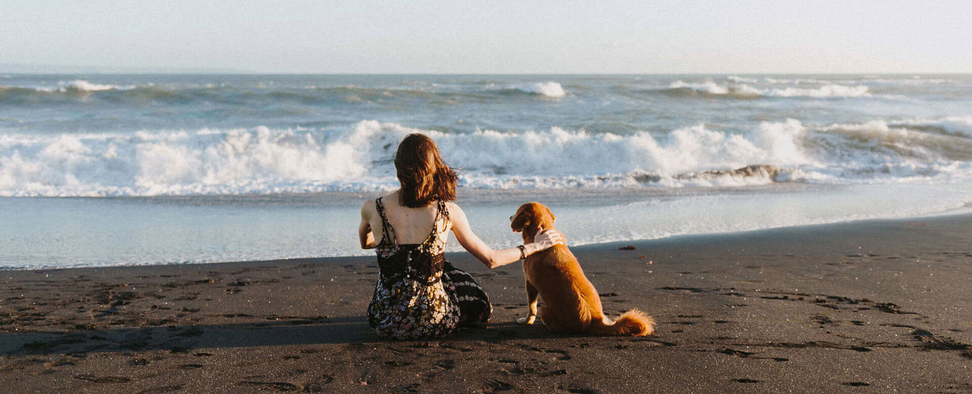 Am Strand mit Hund