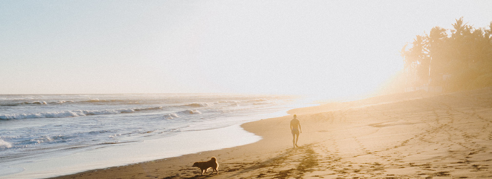 Am Strand mit Hund und Sonne