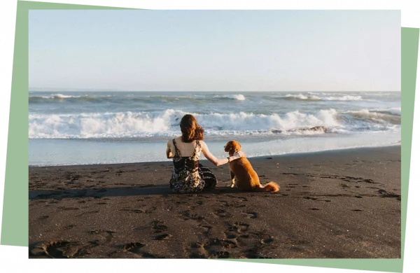 EMDR Methode am Strand mit Hund, neue Perspektive, Produktivität steigern, Trauer bewältigen