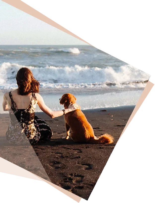 Gutschein 1 Gutschein Motiv mit Strand am Hund