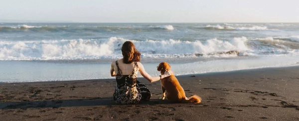 Gutschein 2 Gutschein Motiv mit Strand am Hund