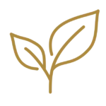 Zuversicht, an Trauer wachsen