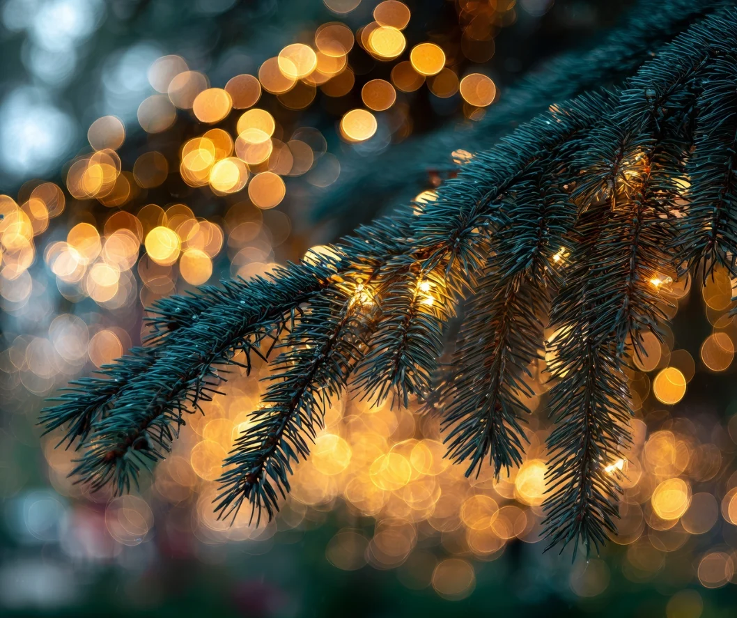 weihnachten ohne lieben menschen lichter black n light